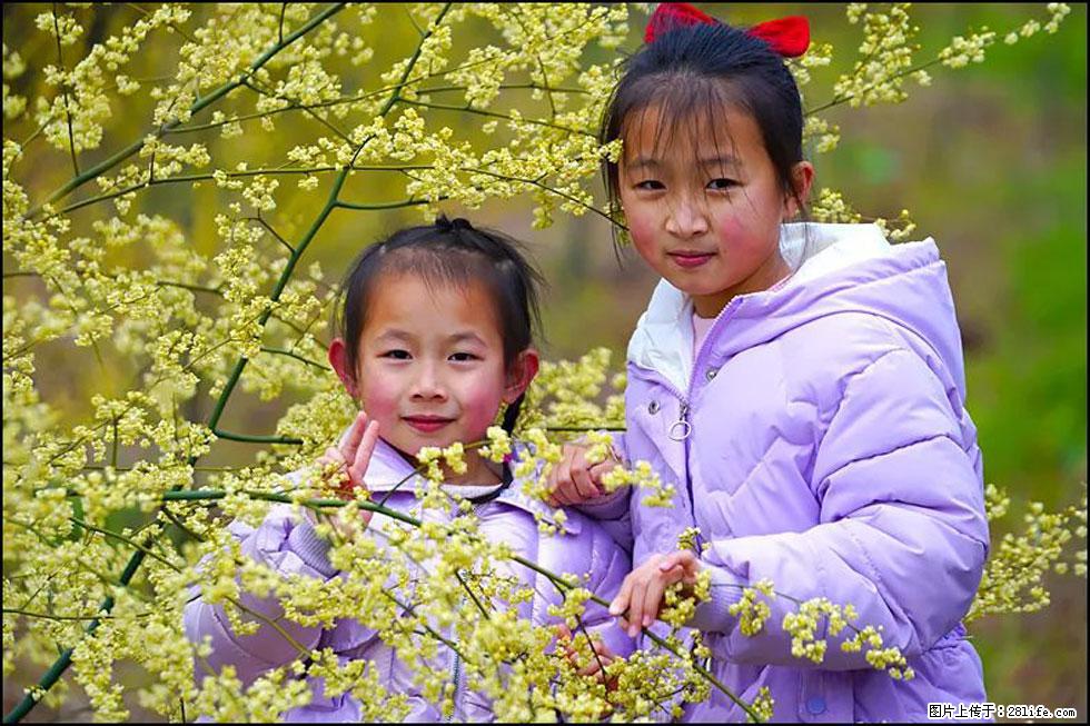 【春天，广西桂林灌阳县向您发出邀请！】米珠山前有片山苍子花在飘香 - 游山玩水 - 长沙生活社区 - 长沙28生活网 cs.28life.com