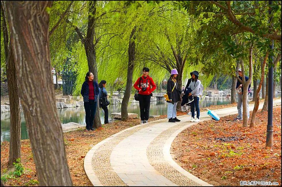 【春天,广西桂林灌阳县向您发出邀请!】江口老街又逢春 - 游山玩水 - 长沙生活社区 - 长沙28生活网 cs.28life.com