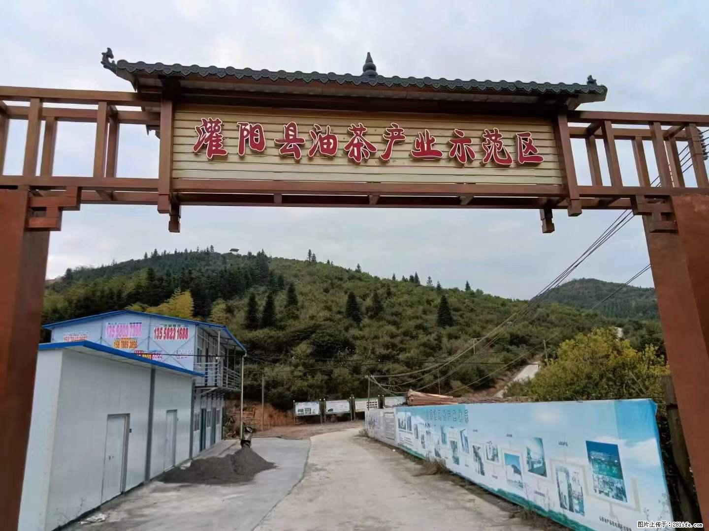 【灌阳县油茶产业示范区】一个有着充实的精神生活的人,对待身外之物自会有一种淡泊的态度 - 美食天地 - 长沙生活社区 - 长沙28生活网 cs.28life.com