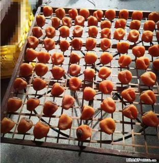 广西桂林平乐桥亭【柿饼之乡】2025年纯手工制作、无任何添加剂的第一批柿饼准备上市了，欢迎联系订购！ - 长沙28生活网 cs.28life.com