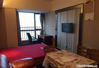 红星村德思勤宝格丽公寓 豪华单间 单身公寓 温馨舒适！女大旁 - 长沙28生活网 cs.28life.com