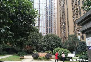 芙蓉广场 湘域城邦两室一厅 近地铁 花园小区拎包入住随时看房 - 长沙28生活网 cs.28life.com