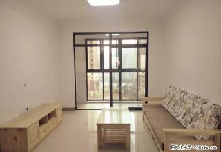 全新装修!家电已配!可拎包入住!中建大厦!天剑百货!德思勤 - 长沙28生活网 cs.28life.com
