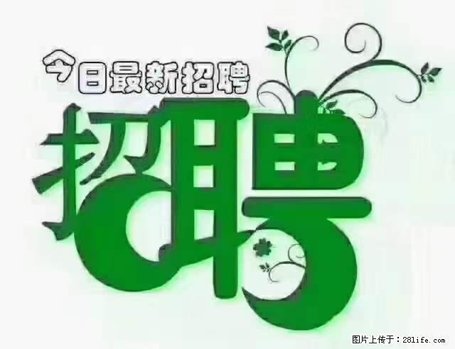 【招聘摄像师】待遇:试用期6000元/月,转正7000元/月+五险一金+餐补+节日福利+奖金 - 职场交流 - 长沙生活社区 - 长沙28生活网 cs.28life.com