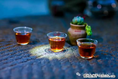 时间果百年古树2025年春红茶 - 购物交流 - 长沙生活社区 - 长沙28生活网 cs.28life.com