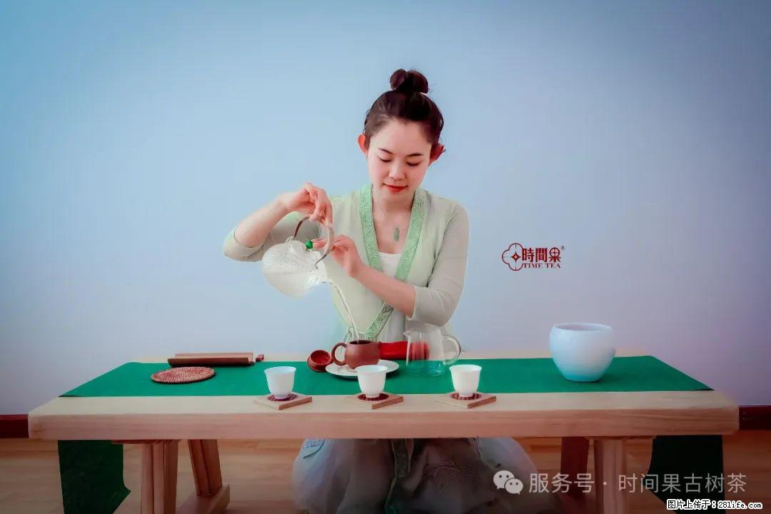 时间果百年古树龙珠普洱生茶 - 购物交流 - 长沙生活社区 - 长沙28生活网 cs.28life.com