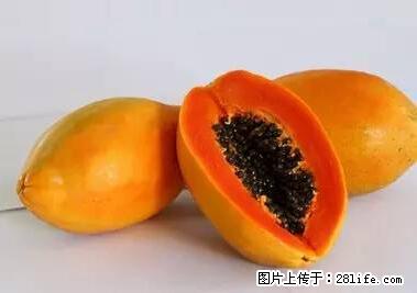 晕车、脚气、牙齿变黄、皮肤粗糙?学会这些三分钟搞定! - 长沙生活资讯 - 长沙28生活网 cs.28life.com
