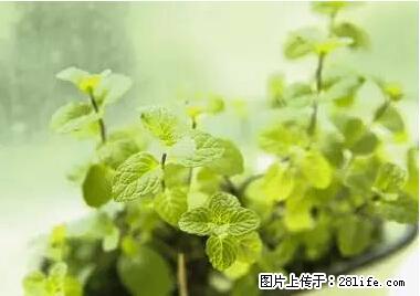 晕车、脚气、牙齿变黄、皮肤粗糙?学会这些三分钟搞定! - 长沙生活资讯 - 长沙28生活网 cs.28life.com