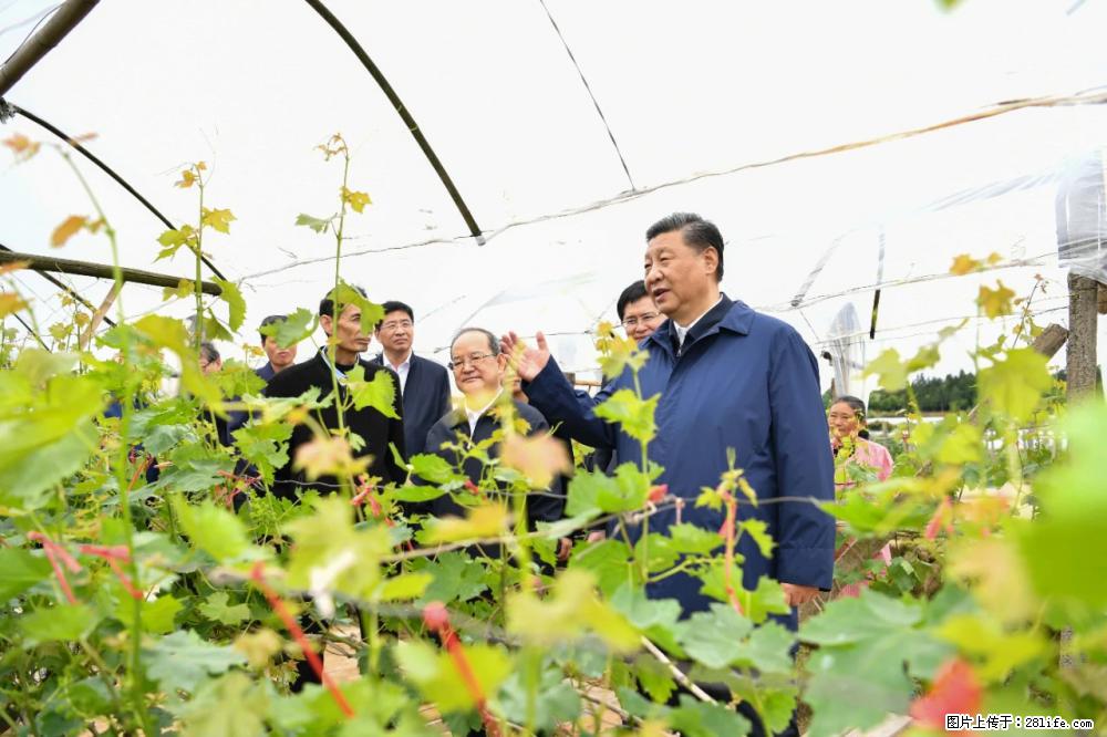 习近平赴广西考察调研 - 长沙生活资讯 - 长沙28生活网 cs.28life.com
