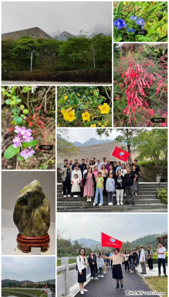 “粤灌文化 美好生活”油茶文化主题活动在广东深圳成功举办 - 长沙生活资讯 - 长沙28生活网 cs.28life.com