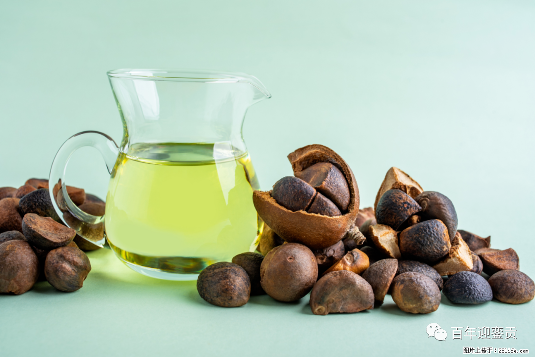 揭秘茶油的5大核心营养成分！被称为人体健康的“守护盾”！ - 长沙生活资讯 - 长沙28生活网 cs.28life.com