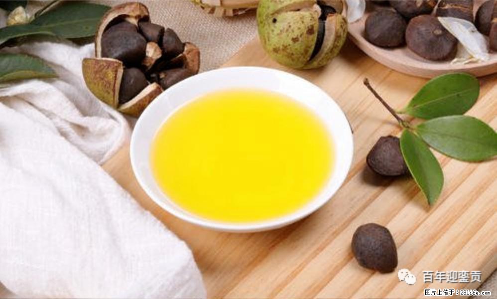 揭秘茶油的5大核心营养成分！被称为人体健康的“守护盾”！ - 长沙生活资讯 - 长沙28生活网 cs.28life.com