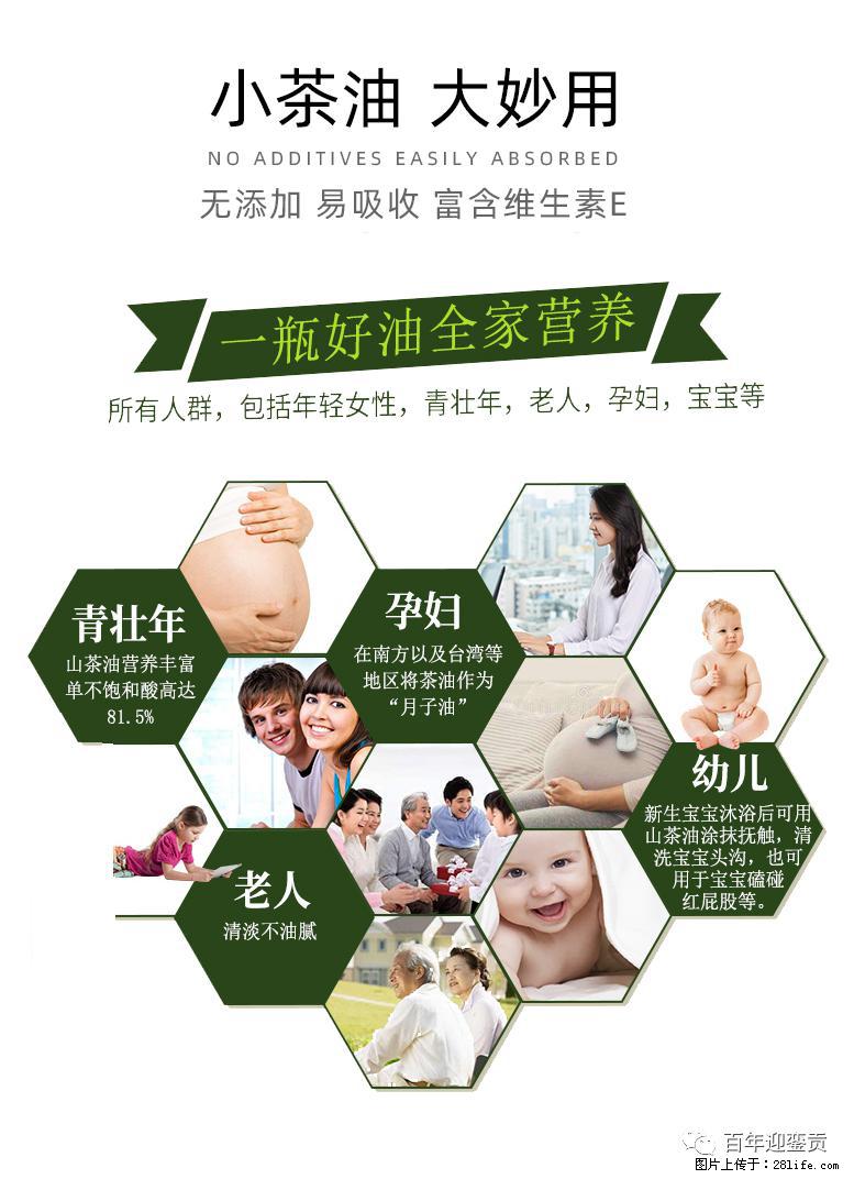 世界没有真相,只有认知,最好的食用油是中国的山茶油! - 长沙生活资讯 - 长沙28生活网 cs.28life.com