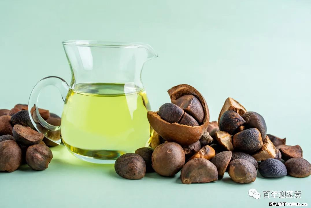 世界没有真相，只有认知，最好的食用油是中国的山茶油！ - 长沙生活资讯 - 长沙28生活网 cs.28life.com