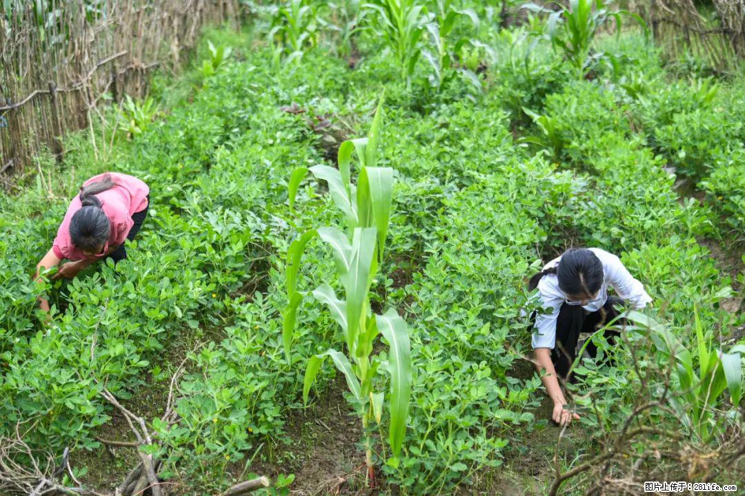 全网追的“扁担女孩”,找了一份暑假工,时薪12元 - 长沙生活资讯 - 长沙28生活网 cs.28life.com