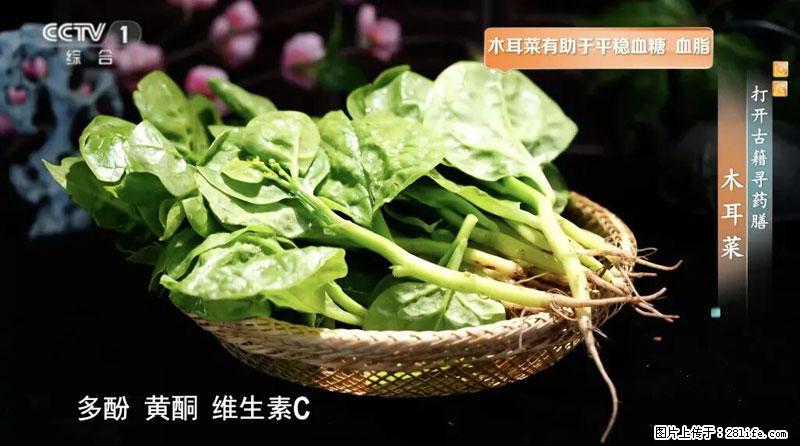比牛奶补钙还厉害！凉血解毒、稳血糖...这菜冬天必吃，很多人却当草 - 长沙生活资讯 - 长沙28生活网 cs.28life.com