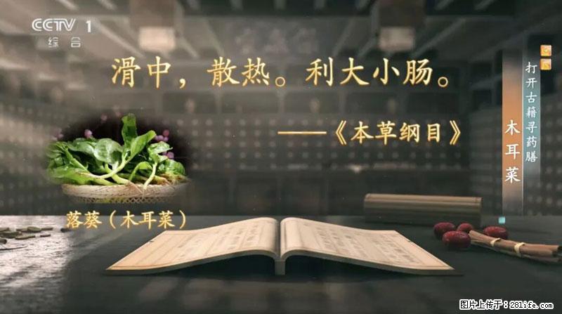 比牛奶补钙还厉害！凉血解毒、稳血糖...这菜冬天必吃，很多人却当草 - 长沙生活资讯 - 长沙28生活网 cs.28life.com