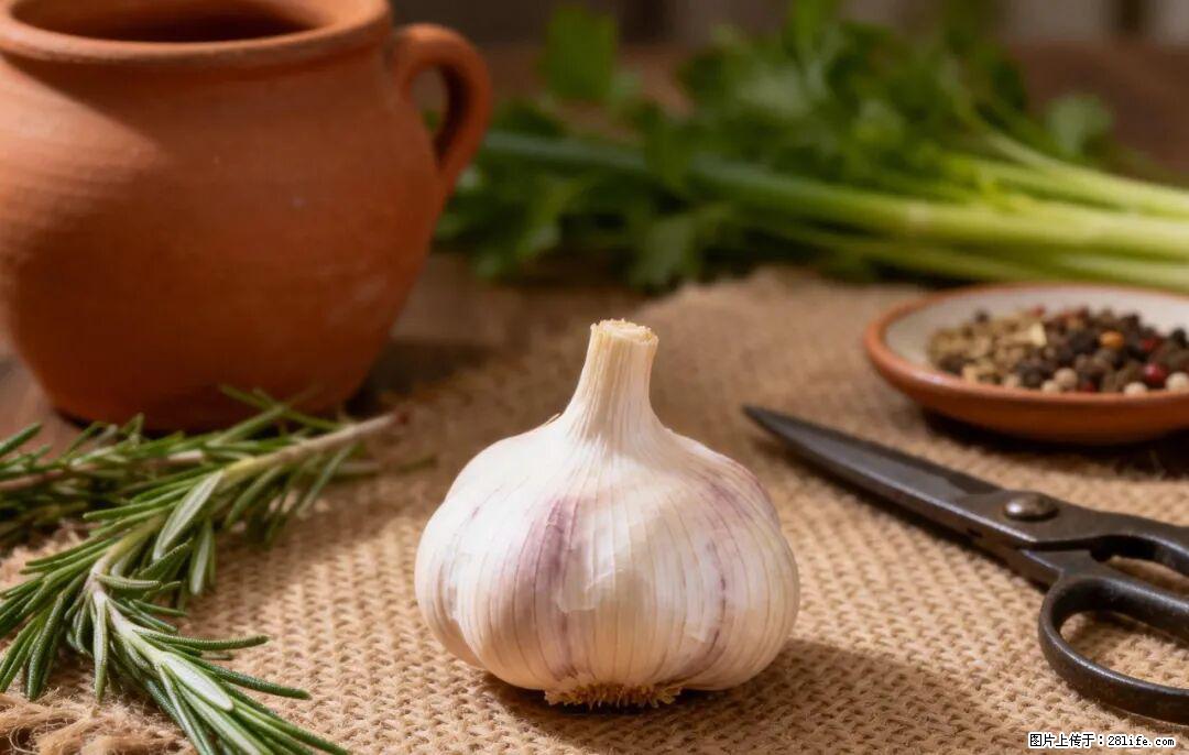 关于大蒜，除了“天然抗生素”，这4个谣言更该警惕! - 长沙生活资讯 - 长沙28生活网 cs.28life.com