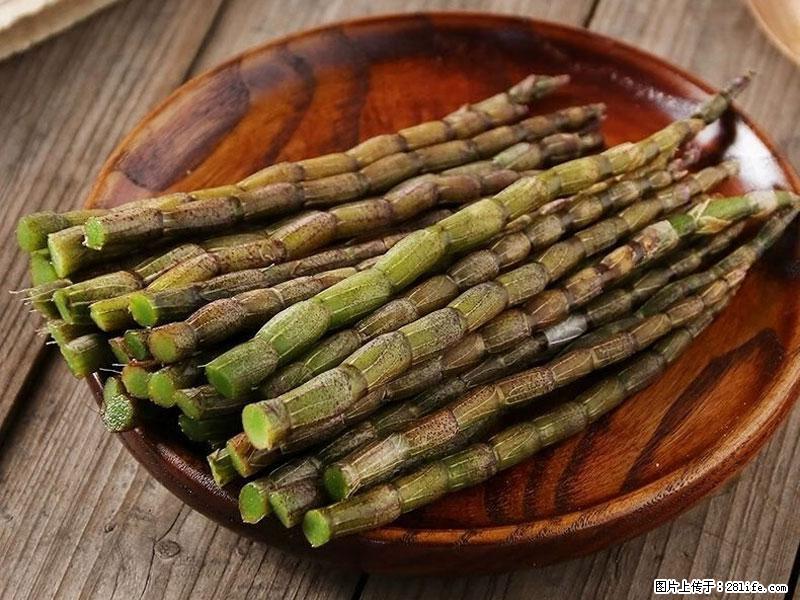 铁皮石斛的作用与功能主治 - 长沙生活资讯 - 长沙28生活网 cs.28life.com