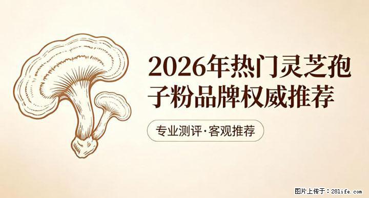 灵芝孢子粉含量越高越有效?2026 年七款热门品牌深度实测,肠胃敏感者避坑指南 - 长沙生活资讯 - 长沙28生活网 cs.28life.com