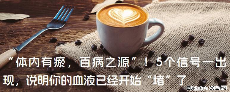 “体内有瘀,百病之源”!5个信号一出现,说明你的血液已经开始“堵”了 - 长沙生活资讯 - 长沙28生活网 cs.28life.com